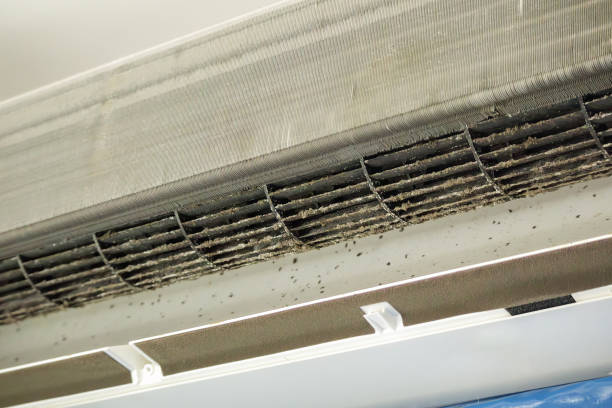 Best Affordable HVAC Duct Cleaning  in Friendship Heights Village, MD